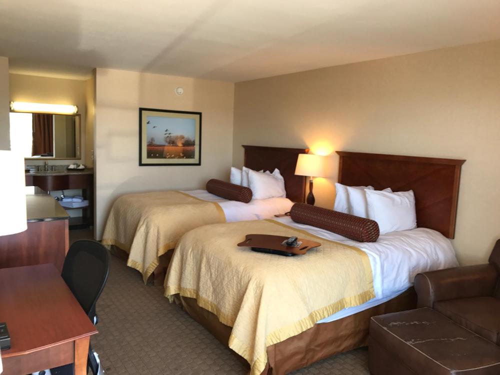 Executive Double Room interior